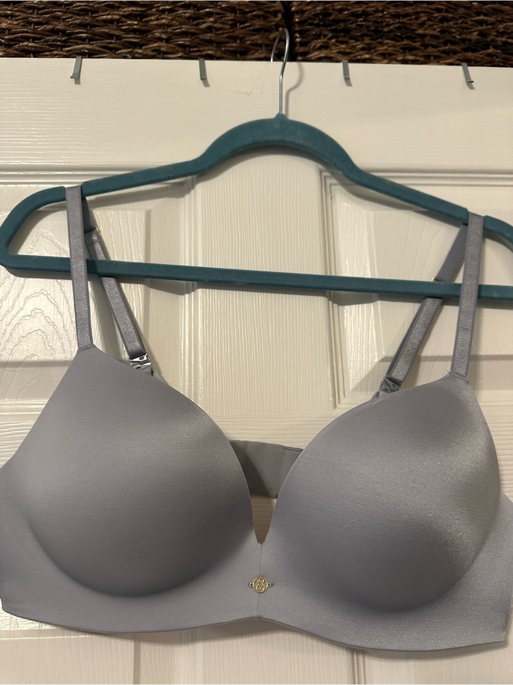 Victoria’s Secret Light Blue-Gray T-Shirt Bra - 36C Women Intimates